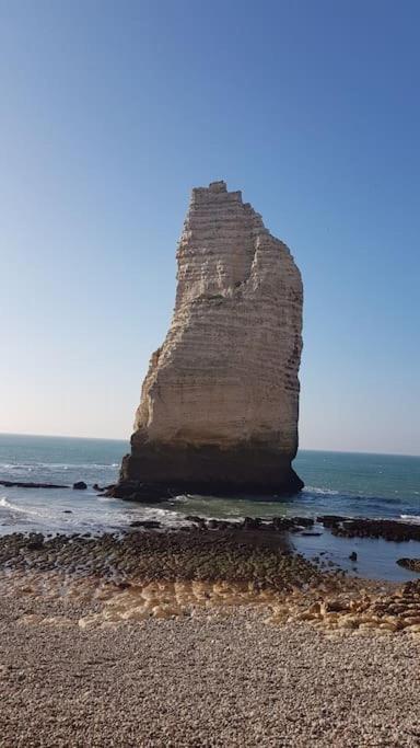 Joli Pied A Terre A 2 Pas D'Etretat Villa Bretteville-du-Grand Caux Dış mekan fotoğraf